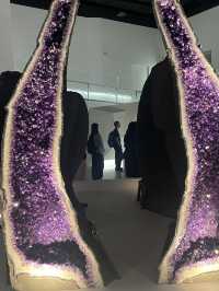 #trip親子出遊首選 科博館大地瑰寶展覽!
