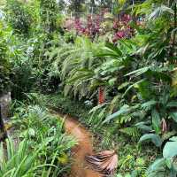 🌳🌸 Taman Botani Perdana – Kuala Lumpur’s Green Escape 🌿✨