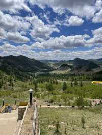 追尋成吉思汗的金馬鞭與普氏野馬