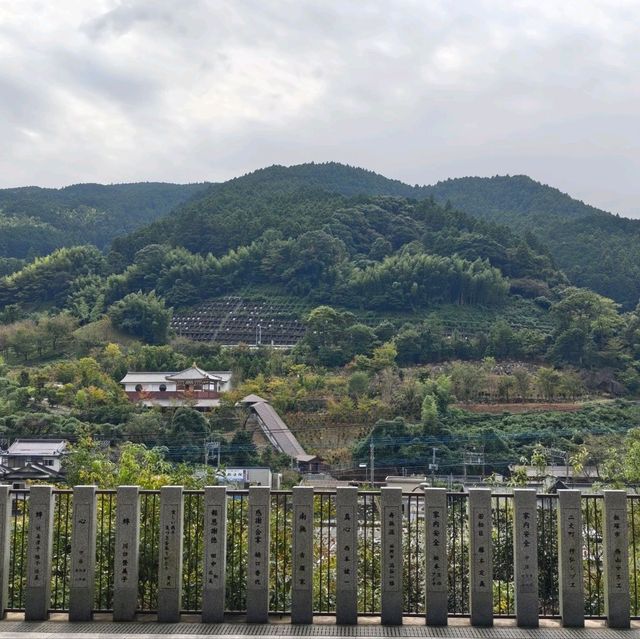 福冈南藏院参拜评论