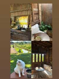 Growth : Farm and Bistro คาเฟ่เชียงแสนเชียงราย
