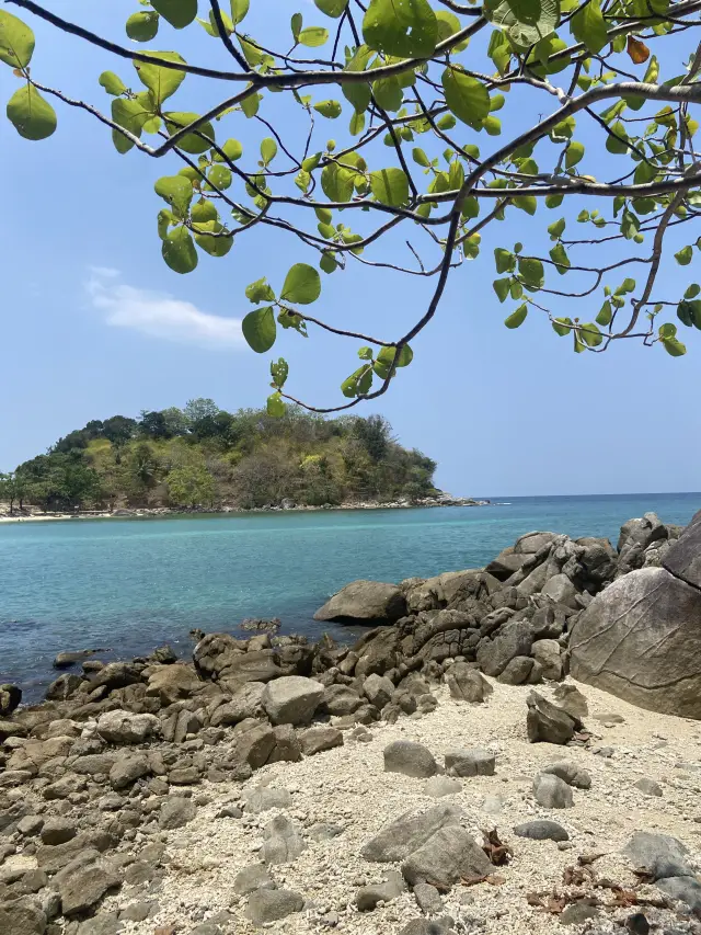 水清得像AI畫作 🪸🫧