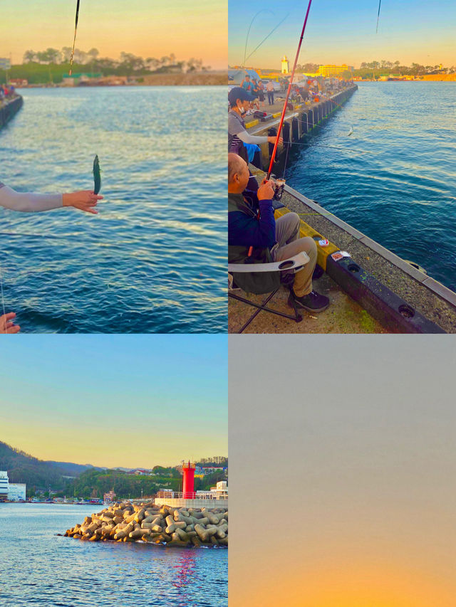 🎣 시원한 바다바람 맞으며 고등어 낚시 어때요?