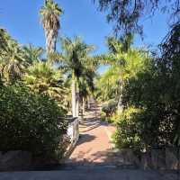 Jardín Botánico Histórico La Concepción