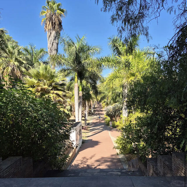 Jardín Botánico Histórico La Concepción