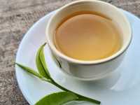 ไร่ชาลุงเดช เชียงใหม่ 🍵🌿🍃