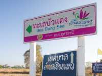ล่องเรือชมทะเลบัวแดง อุดรธานี