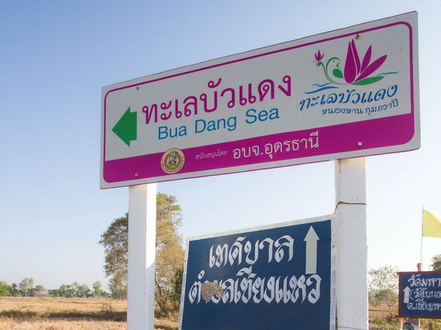 ล่องเรือชมทะเลบัวแดง อุดรธานี