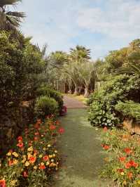 Experience Authentic Udo Island Charm