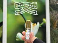 ニースからバスで30分！エズ村魅力ご紹介🦅⛰️🌹