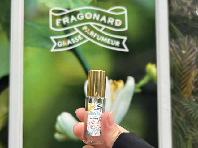 ニースからバスで30分！エズ村魅力ご紹介🦅⛰️🌹