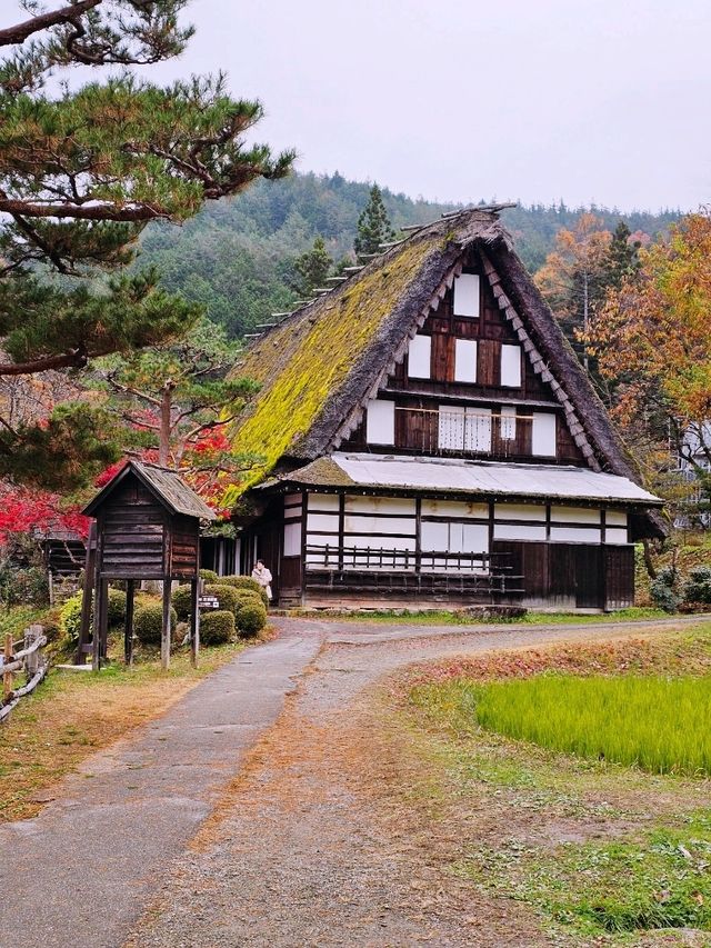 Hida Folk Village (Hida no Sato) 🍁🍂 Hida Folk Village (Hida no Sato) 🍁🍂