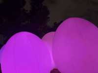 🌸大阪3日間の小旅行🌸