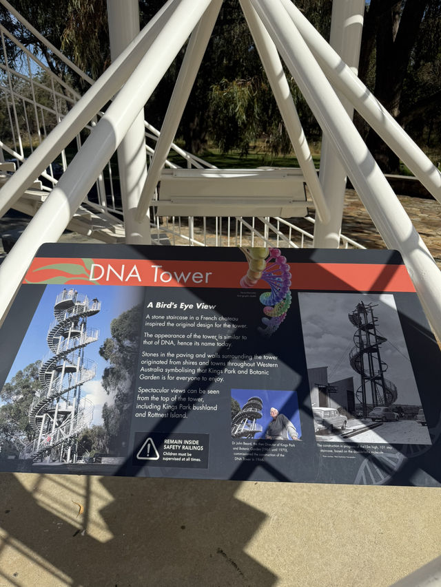 Perth's DNA Tower: Epic Views & Insta-Worthy Moments!