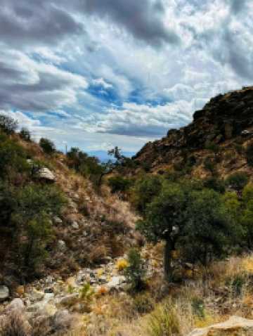 🌄 Ventana Canyon – Tucson’s Scenic Desert Escape🌿