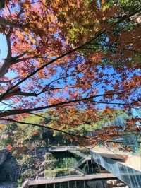 Ge Xian Village: Where Architecture Blends into Nature's Canvas