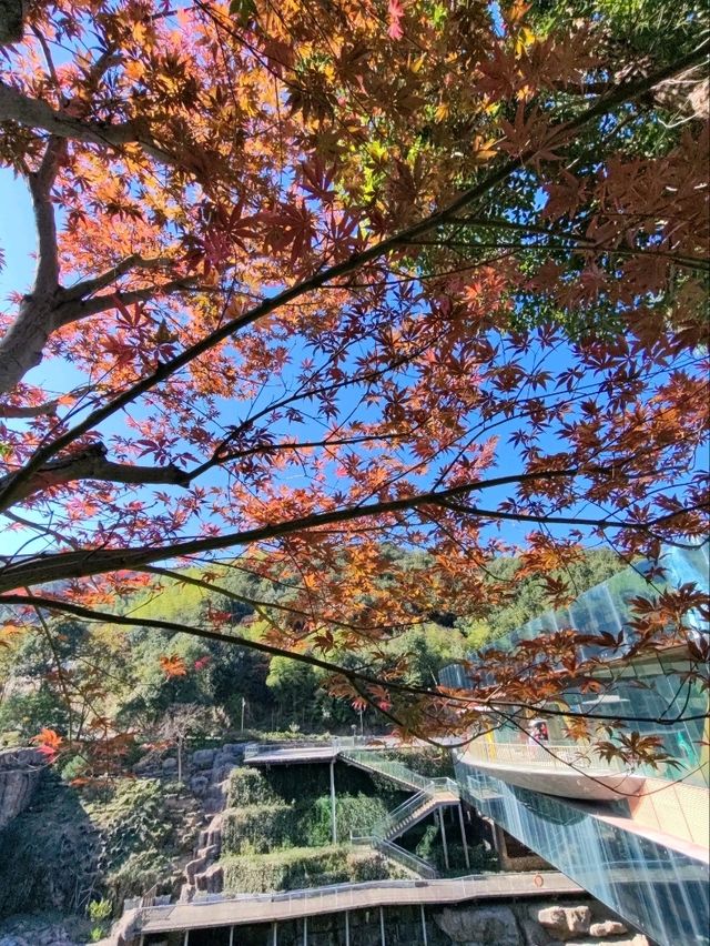 Ge Xian Village: Where Architecture Blends into Nature's Canvas