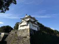 名古屋城攻略📸