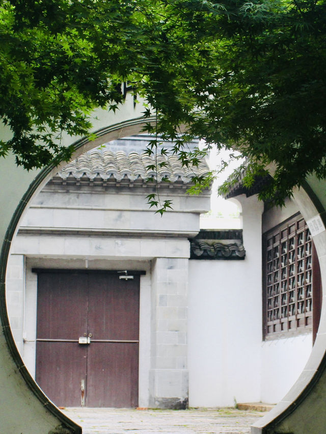 Shanghai: Zuibaichi Park Views🌿🪷 Shanghai: Zuibaichi Park Views🌿🪷