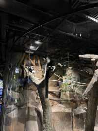 Aquarium Raksasa di Dalam Mall