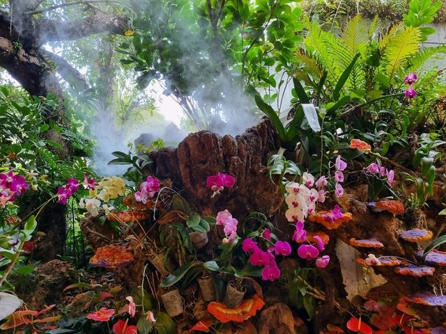 Lalitta Café—Chiang Rai’s Insta-Worthy Flower Wonderland 🌸✨ Lalitta Café—Chiang Rai’s Insta-Worthy Flower Wonderland 🌸✨