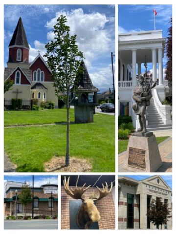 #canadatrip
🇨🇦 One Day Trip to a Canadian Town – Niagara-on-the-Lake (Perfect Day Escape!)

📍 Location
A charming heritage town in Ontario, just 20 minutes from Niagara Falls.

💵 Budget (USD)
Approx. $70–$150 per person
(Includes food, transport, wine tasting & small shopping.)


---

🌟 What to Do in One Day

☀️ Morning – Explore the Town

Walk along the Heritage Main Street

Enjoy pretty shops, flowers & Victorian buildings

Grab breakfast at a local café ☕🥐
Cost: $10–$20


🌱 Late Morning – Visit a Vineyard

Go for a wine tasting tour 🍷

Try the famous Ice Wine
Cost: $15–$30


🌊 Afternoon – Scenic Views & Parks

Relax at Queen’s Royal Park

Lakeside views facing the USA 🇺🇸
Free


🕍 Historical Spots

Visit Fort George National Historic Site
Cost: $5–$10


🍽️ Lunch

Enjoy local Canadian or farm-to-table food
Cost: $15–$25


🛍️ Souvenir Shopping

Cute boutiques + handmade chocolates 🍫
Cost: $10–$20



---

🚗 How to Reach

From Toronto: 1.5 hours by car

From Niagara Falls: 20 minutes

From Buffalo (USA): 1 hour



Niagara-on-the-Lake is peaceful, scenic, romantic, and full of Canadian charm — perfect for families, couples, or solo travellers. 🌸🇨🇦✨

#CanadaTravel #NiagaraOnTheLake #DayTripCanada