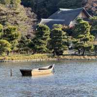 秋日限定南知多町楓葉賞景🏞️