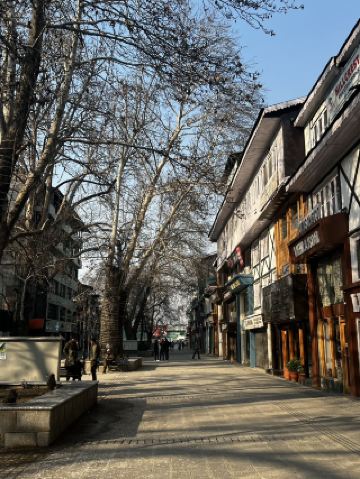 스리나가르의 평온함🏞️