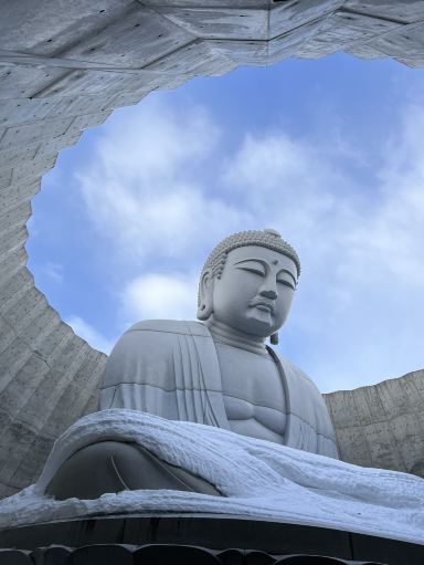 頭大仏殿 | 安藤忠雄の風景インスタレーション | Trip.com 札幌