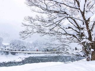 멋진 모험 속으로 미끄러져 들어가 보세요.