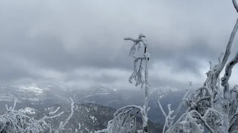 Mount Buller Bliss❄️ — traveler post in Mount Buller