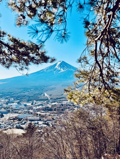 ツラヌキ フラガラッハ SHOEI KAWAGUCHI Mt. Fuji Views & Dango at Mt. Tenjo's Tanuki Tea Shop in