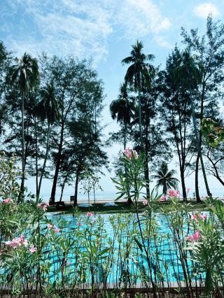 Escape to Nature at Roxy Sematan Beach Resort – Sarawak’s Beautiful Coastal Hideaway