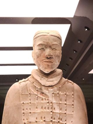 STANDING AMONG HISTORY THE TERRACOTTA ARMY