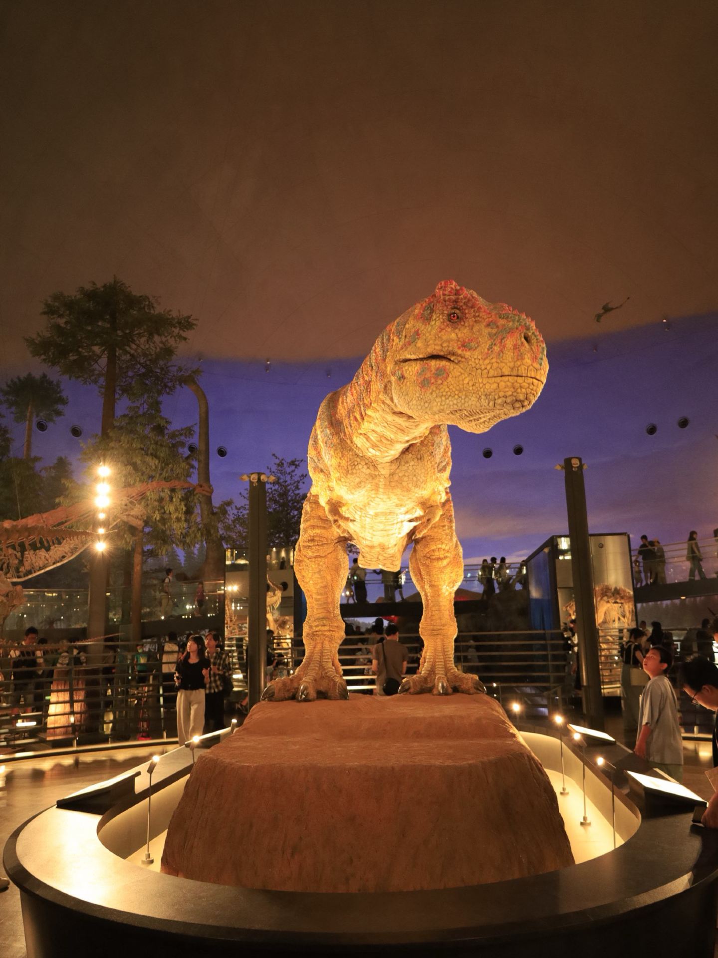 Ngày thứ 2 ở Fukui, khám phá khủng long và lịch sử thời kỳ Sengoku 🦖🏯✨