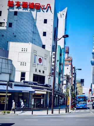 滋賀・彦根城の苔むす庭園と琵琶湖の夕日を楽しむスローな旅 🏯✨
