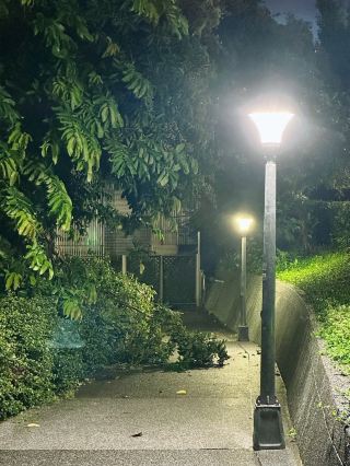 A Hidden Oasis by Minzu East Road: Minzu Park