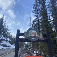 Banff Upper Hot Springs - Relax