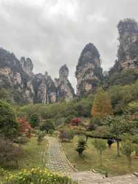 Discovering Zhangjiajie National Forest Park ! 🤗