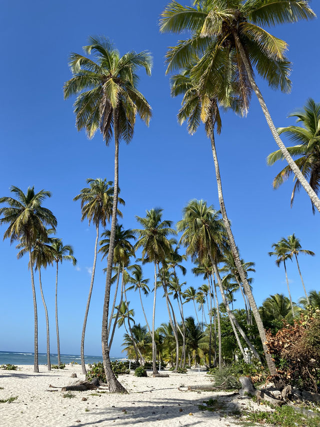 【ドミニカ】フアンドリオビーチでのんびり海水浴🏖️