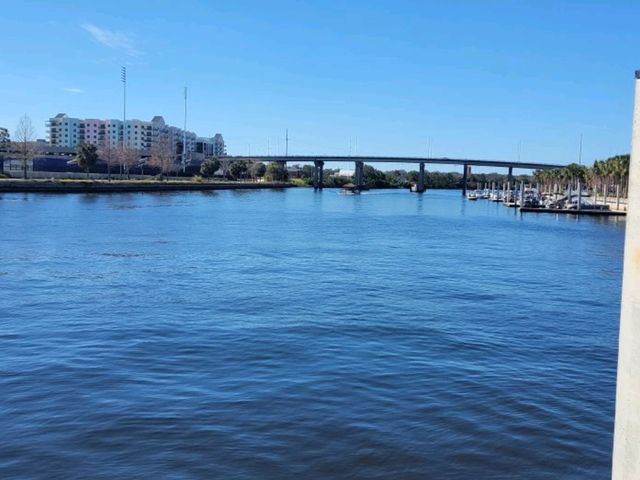 5 Days in Tampa