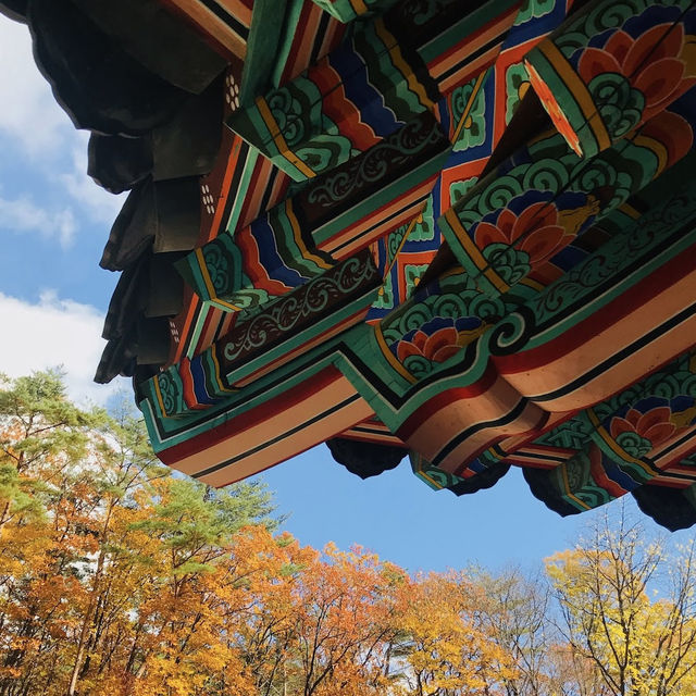 Absolutely gorgeous mountain temple. 