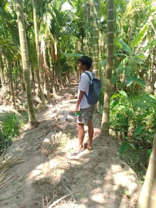 A Trip to a Betel Nut Farm