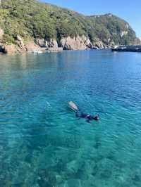 🐟高知の秘境アイランド🇯🇵【鵜来島（うぐるしま）】海に癒される旅