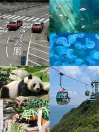 🐟人生建議：一定要去一次香港海洋公園！ 