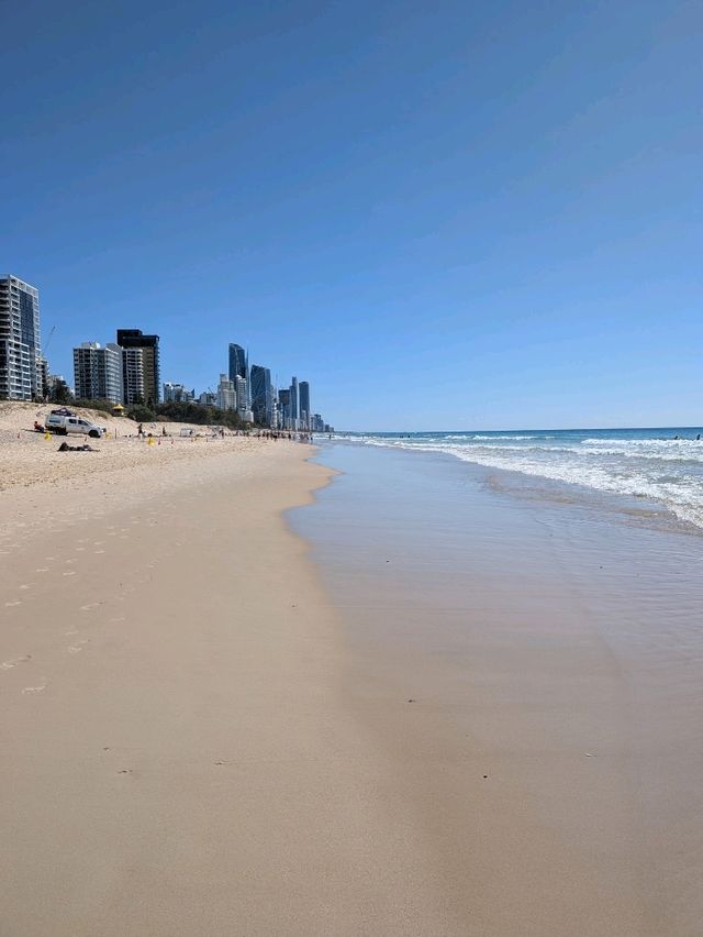 Gold Coast Shine🏖️