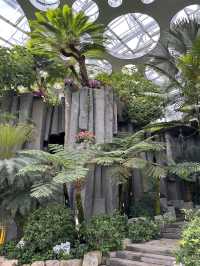 Shanghai Greenhouse Garden