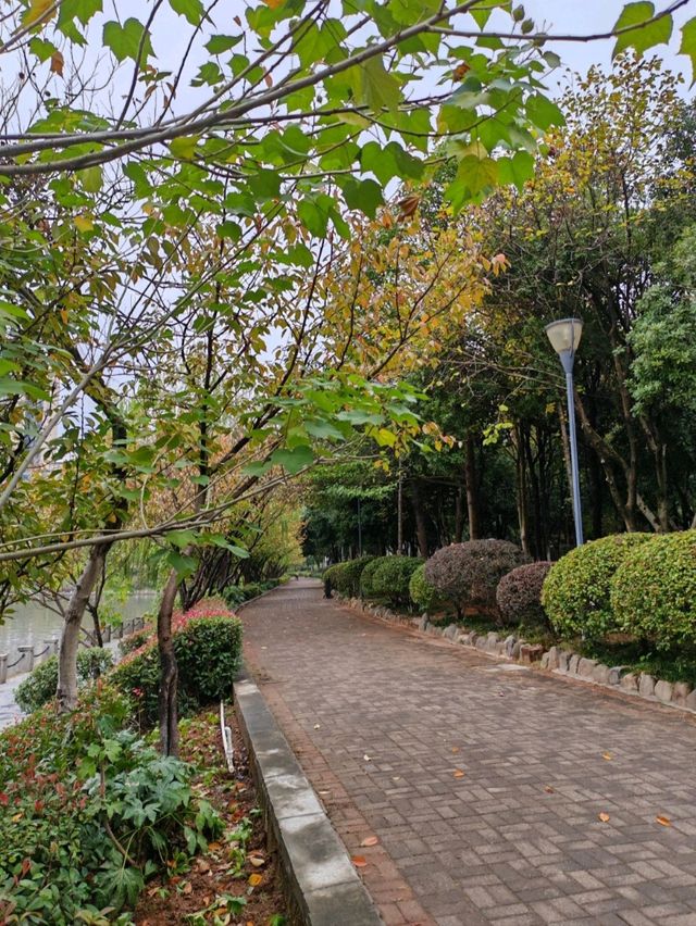 鶴鳴洲綠意散步好去處🌳 鶴鳴洲綠意散步好去處🌳