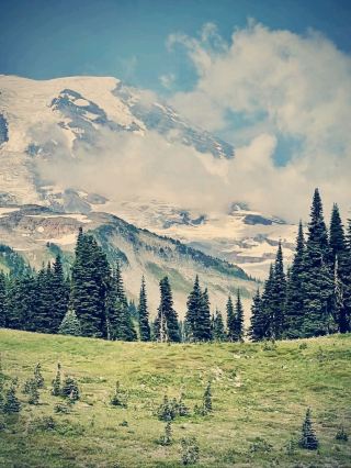 The Ultimate Guide to Mount Rainier National Park | A Haven of Dazzling Snowscapes and Wildflowers.