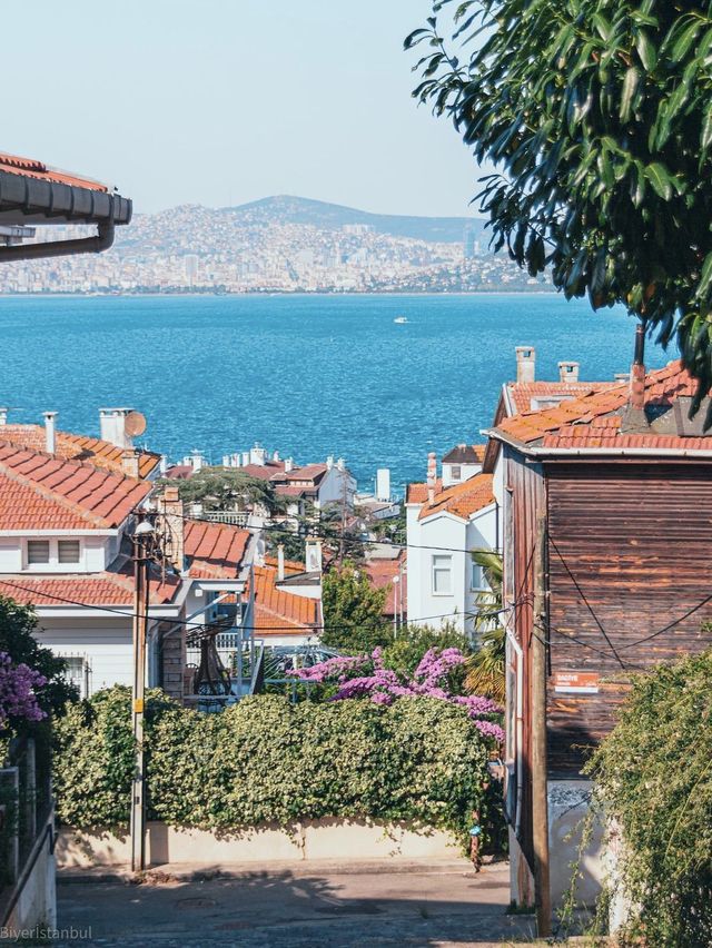 Istanbul: Where East Meets Feast!